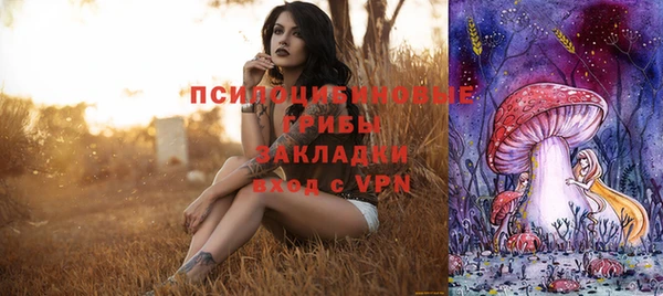 a pvp Арсеньев