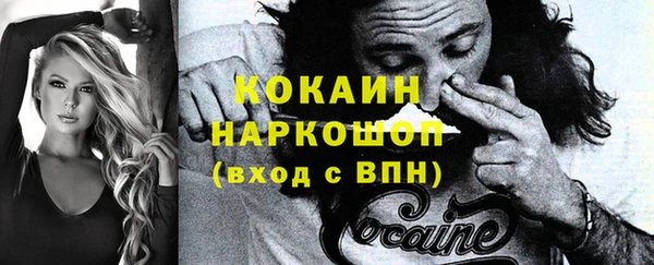 ГАЛЛЮЦИНОГЕННЫЕ ГРИБЫ Аркадак