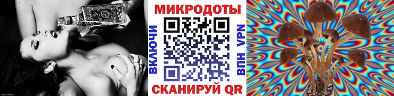 Галлюциногенные грибы прущие грибы  Лянтор 