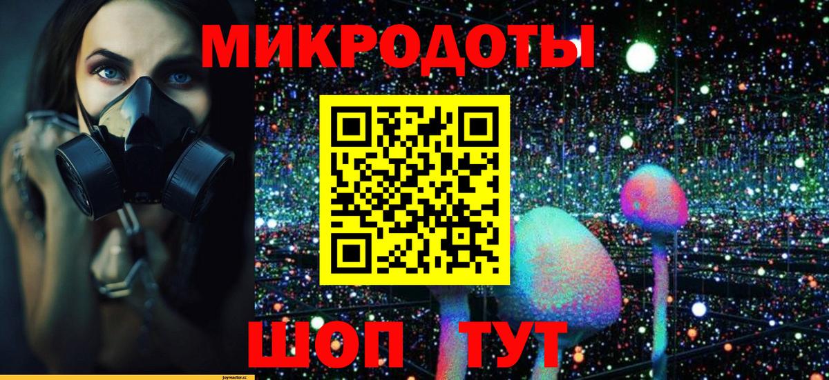 Галлюциногенные грибы Psilocybe  Вход с VPN  Лянтор 